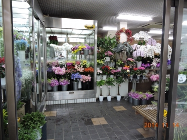 「石松生花店」　（福岡県北九州市八幡西区）の花屋店舗写真3