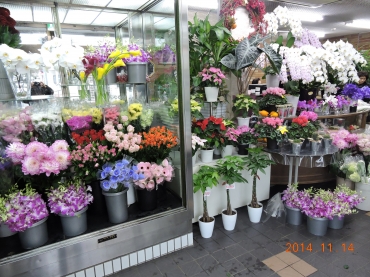 「石松生花店」　（福岡県北九州市八幡西区）の花屋店舗写真2